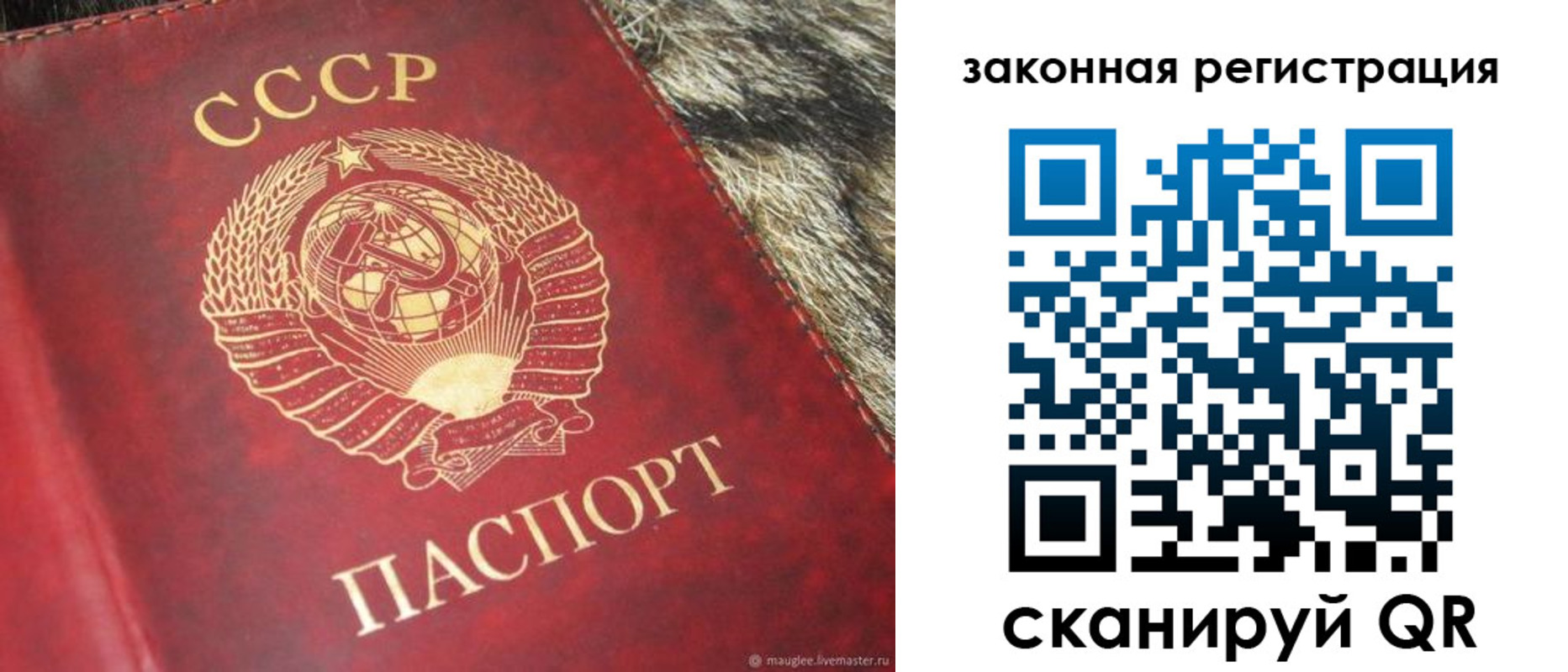 прописка от собственника в Отрадном